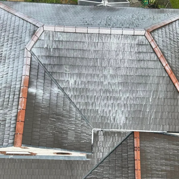 Roof Clean (After)