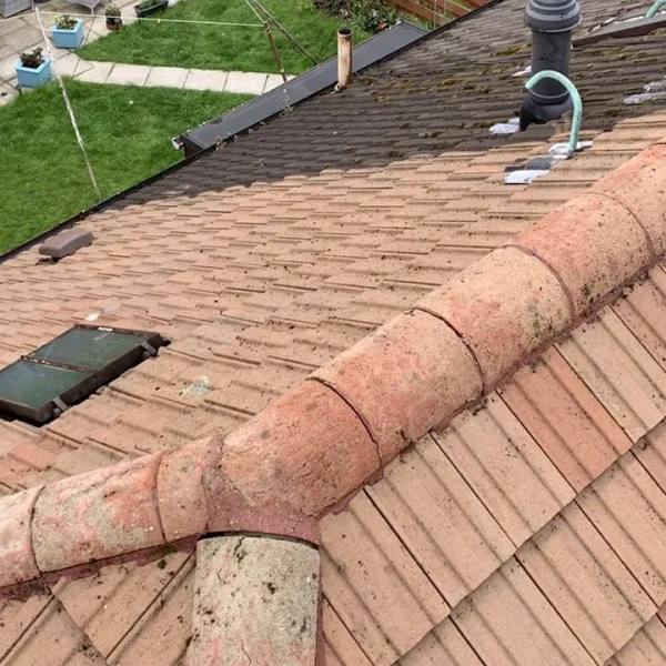Roof Clean (After)
