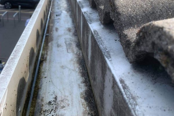 Untitled design - 2024-02-14T105523.956